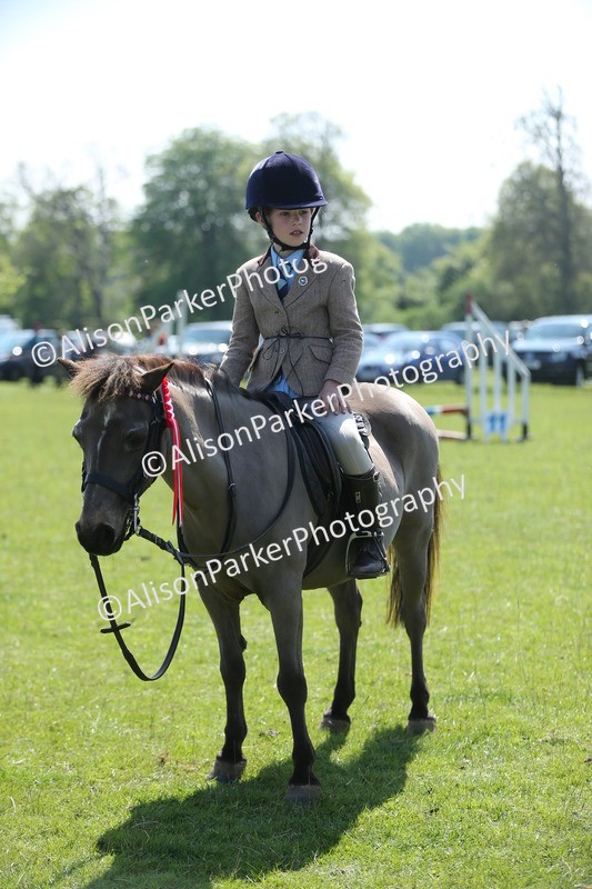 20250427-1826 - Class 2 - Mini Jumping 30cm