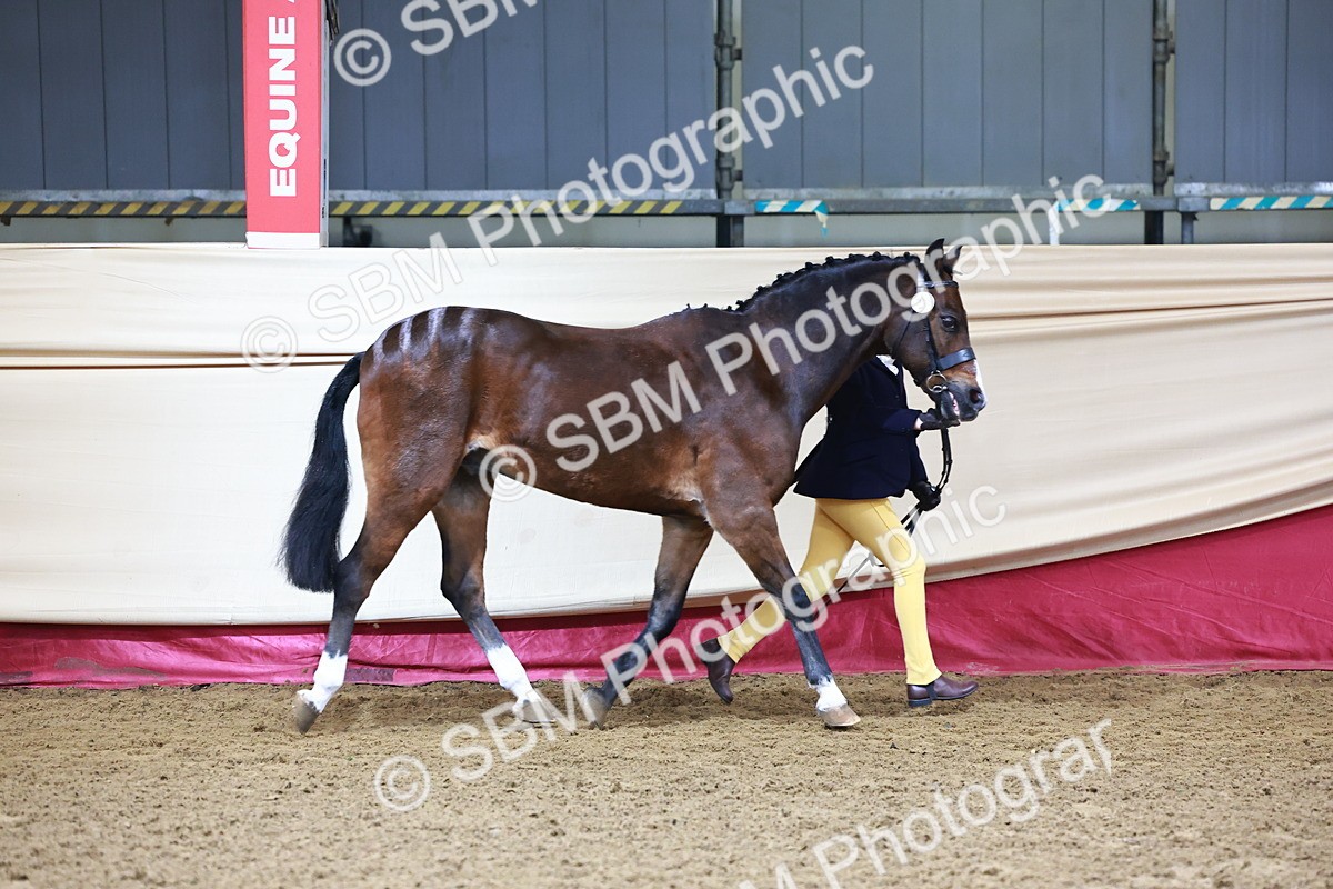 SBM_21760 - Class 901 - Supreme Final - IH  Diamond