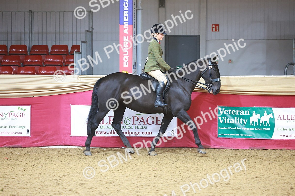 SBM_07589 - Class 101 - HOYS Veteran Qualifier - Ridden Diamond