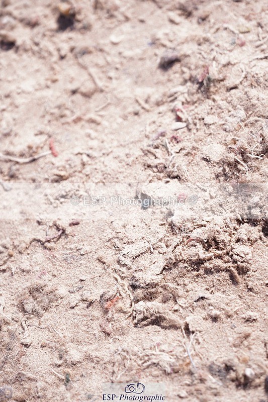 250628-160512-06327 - Cls 23 Pony Intro & 80cm Open