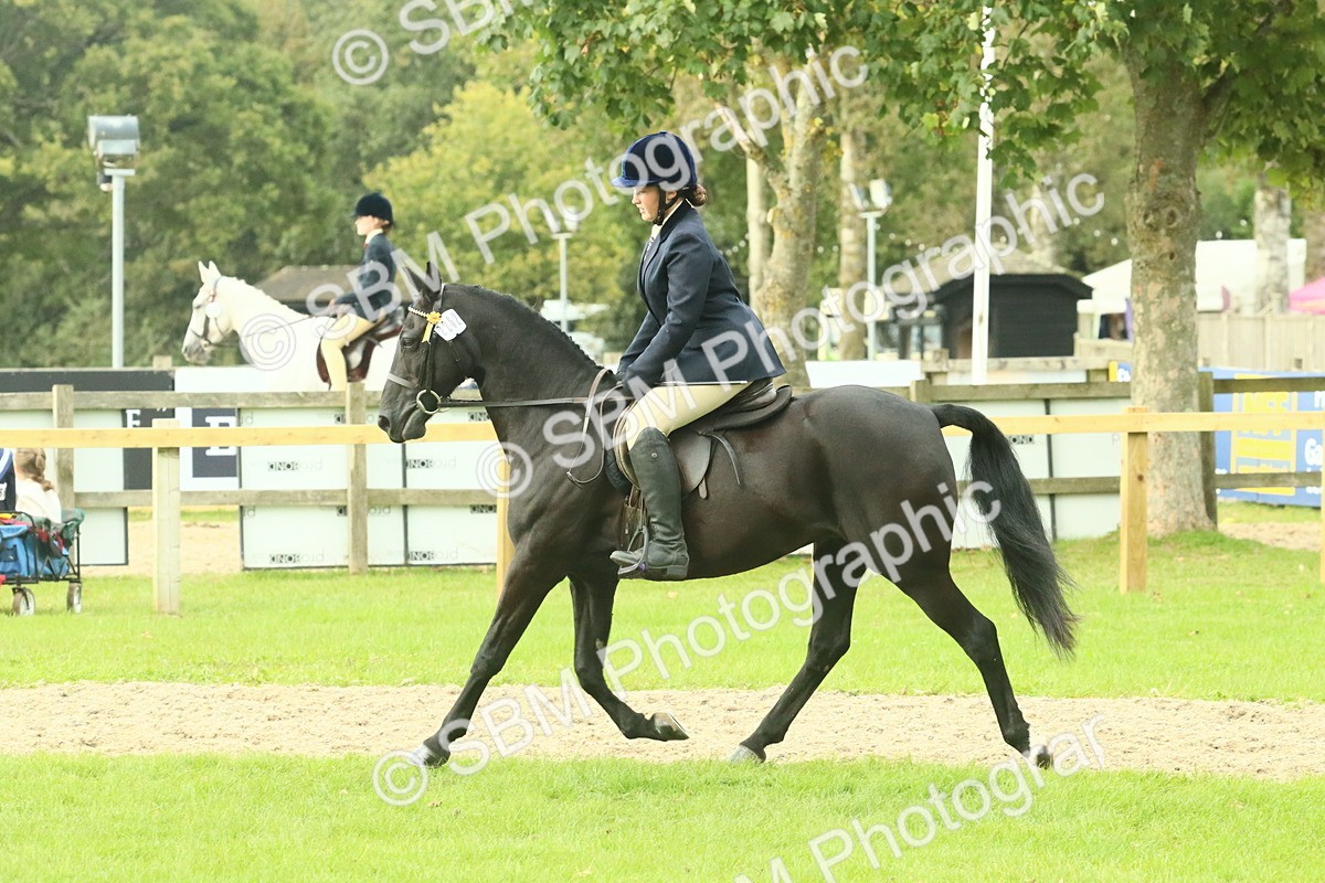 SBM_74111 - S 61 - Show Pony & Show Hunter Pony Ridden