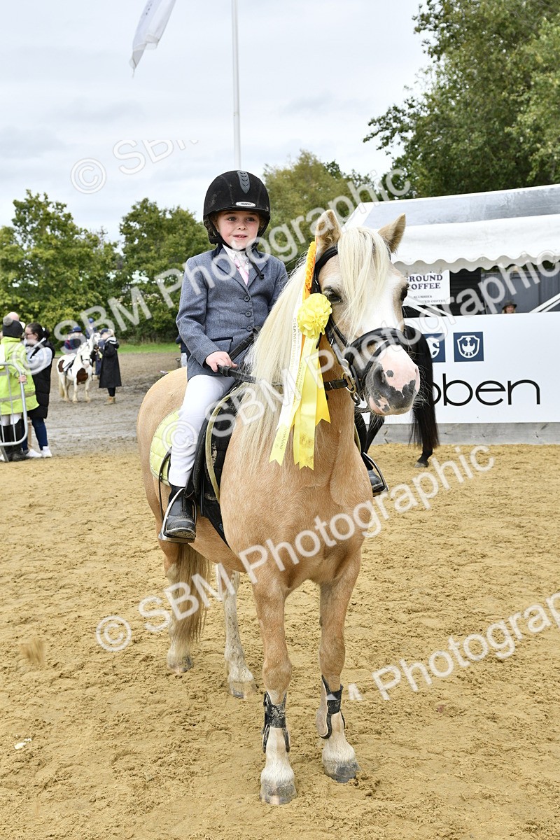 SBM_66245 - J2a mini Tour Junior Pony 30cm Championship