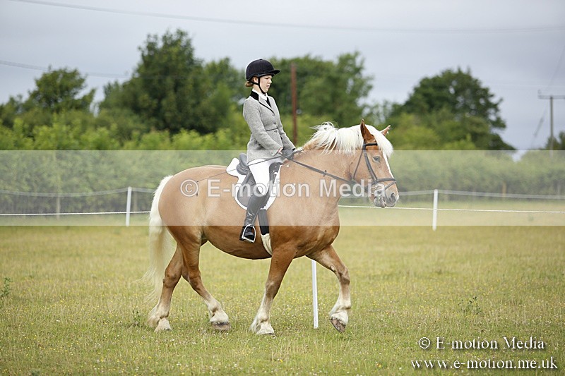 BVR160717-253 - Ring 1 BVRC Show 16/07/17