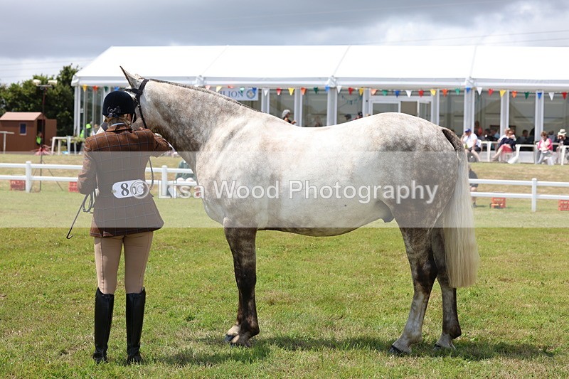 3E7A2152 - Class 10: Open Cob