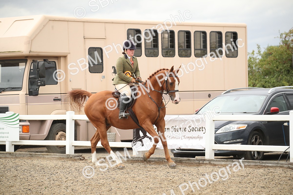 SBM_18488 - Class 510a - Working Veteran 90cm (15-19)