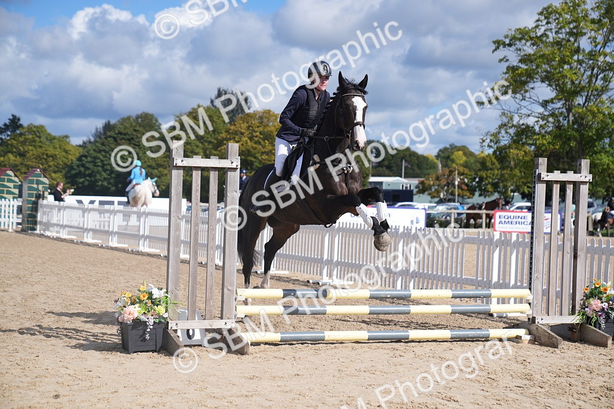 SBM_02543 - J54 Clear Round 45cm