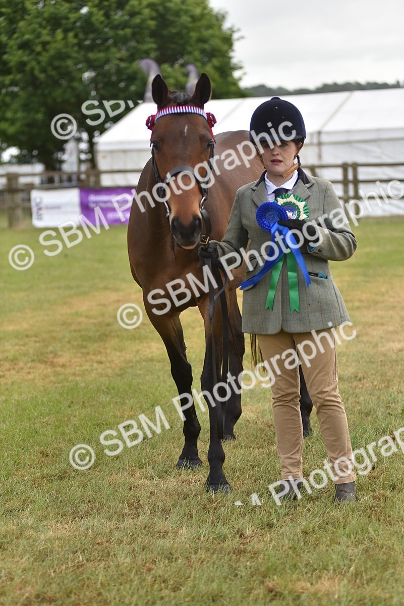SBM_10676 - Class 109 - Retraining of Racehorses in Hand