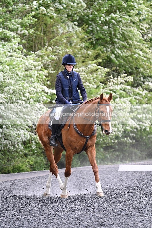 WJ7_0773 - Time 14:01 to 14:12