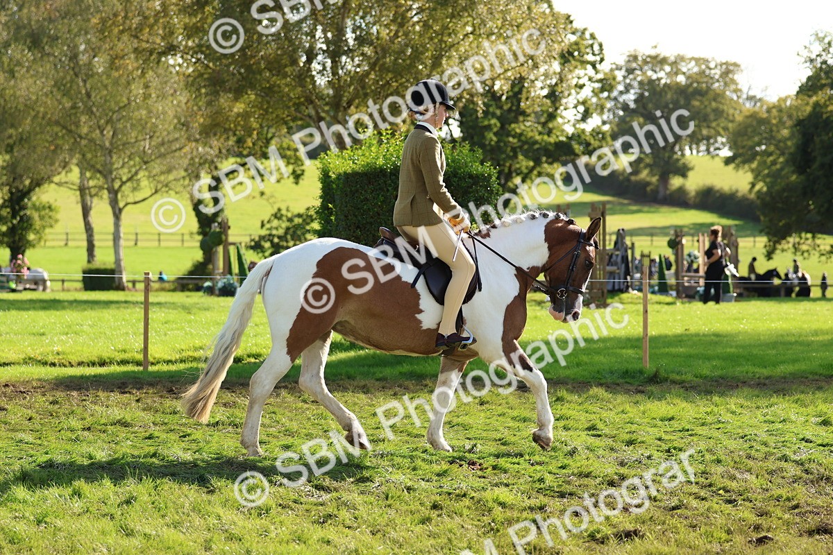 SBM_52378 - S13 - Pony Club Pony