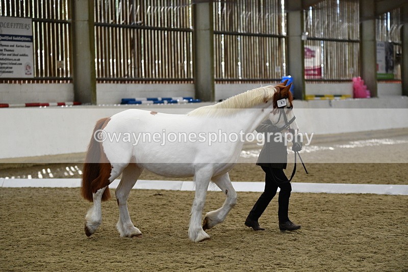 WJ5_5066 - Class 7 In hand coloured / odd coloured