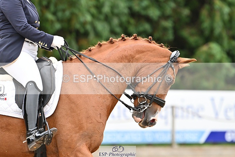 240811-102850-04753 - 156-Stacey.Escrig-Joie.De.Vivre