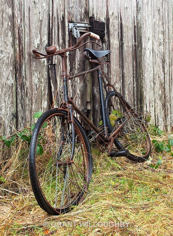  - The beauty of decay