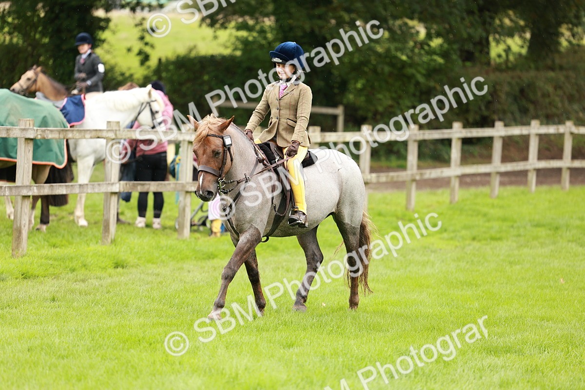 SBM_41809 - S32 - Mountain & Moorland Working Hunter Pony