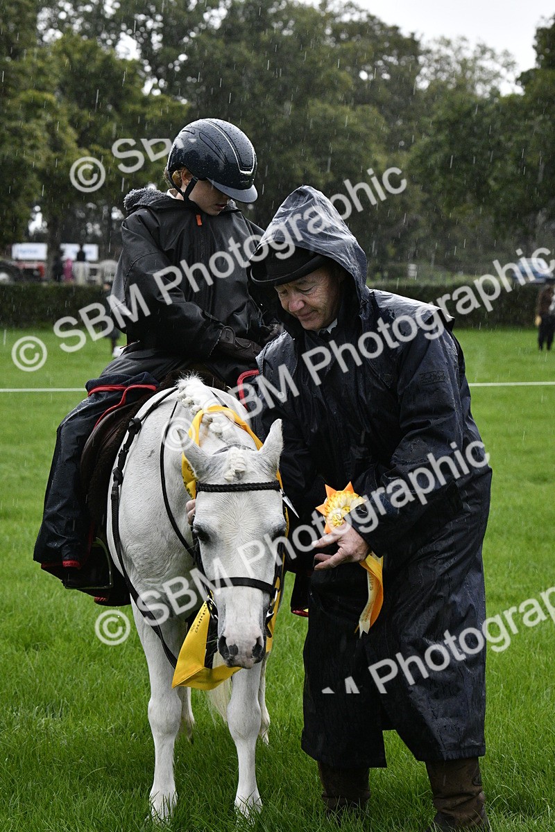 SBM_35564 - S30 - Nursery Stakes Working Hunter Pony