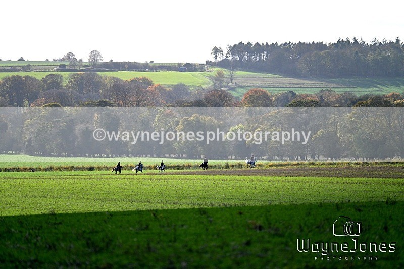 WJ7_7462 - Berks & Bucks - Hendred House 02-11-25
