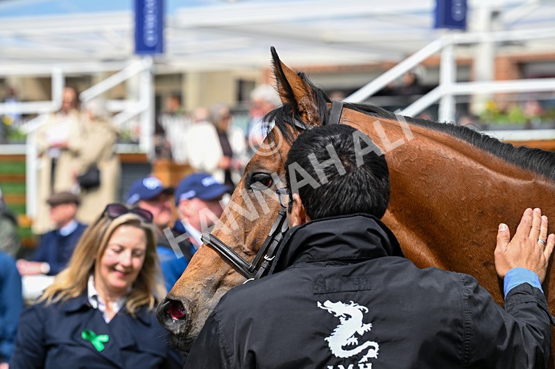 140526-Race 2-Jakajaro-4724 - Race 2 2.20pm Lindum York Handicap