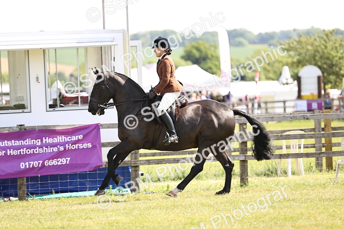 SBM_13743 - Class 77 - LIHS BSHA Rising Star Cobs