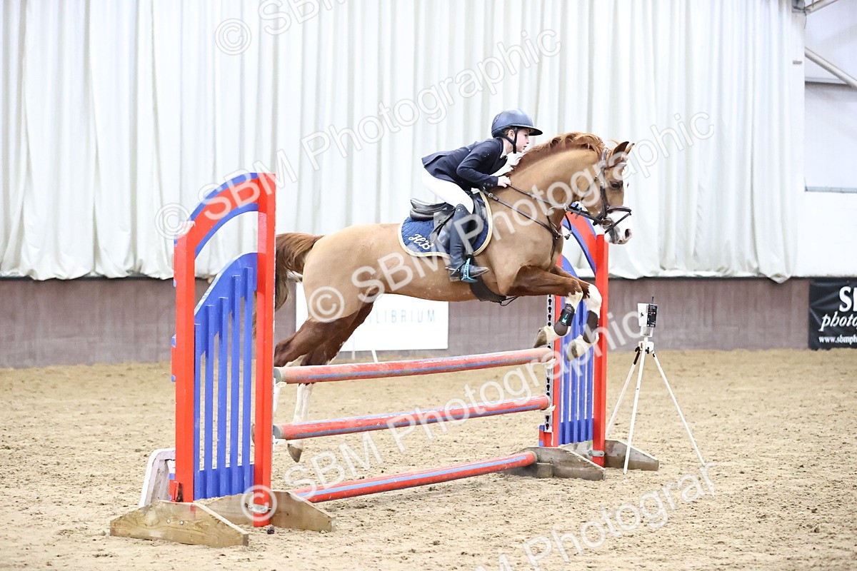 SBM_000235 - Class 2 - Pony British Novice - 80cm