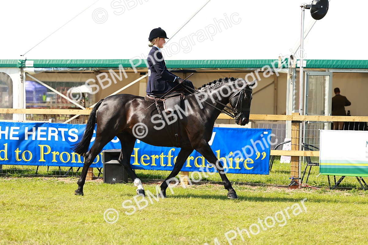 SBM_13119 - Class 70-71 - Side Saddle