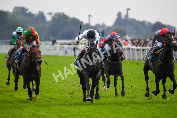 100923-Race 2-Florida-0514 - Race 2 2.15pm John And Judith Marshall Memorial Handicap