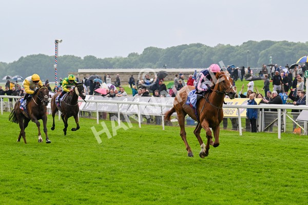 150524-Race 1-Crystal Delight-3581 - Race 1 2.15pm Sky Bet Race To The Ebor Jorvik Handicap