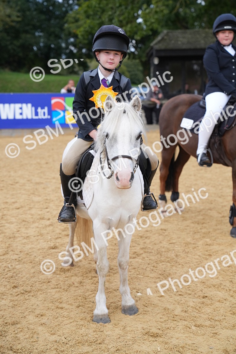 SBM_74932 - J4 - Mini Tour Junior Pony 45cm Championship