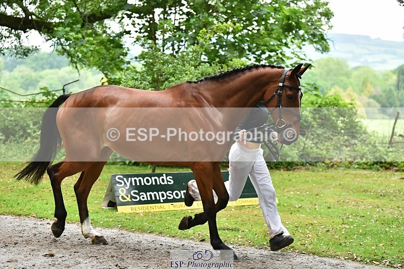 240522-173036-01664 - 292-MY_DREAM_H.J.-Pippa_Royle