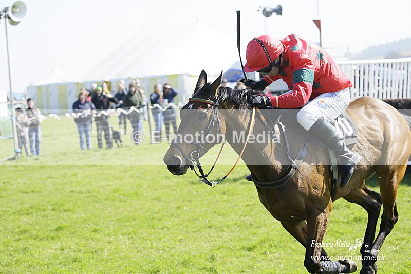 PtP 190322 305 - Wilton Hunt PtP Milborne St Andrew 19/03/22