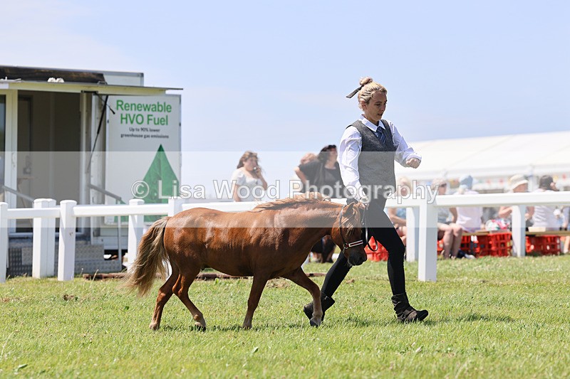 IMG_2675 - Class 39: Veteran In Hand