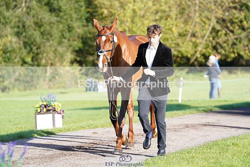 241026-101228-11684 - 017-Louis.Pern-CLASSICTOP.MISS.VIVIENNE