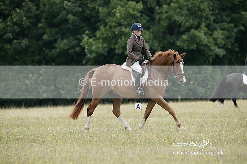 BVRC 030721 12 - Bourne Valley Riding Club Dressage 03/07/21
