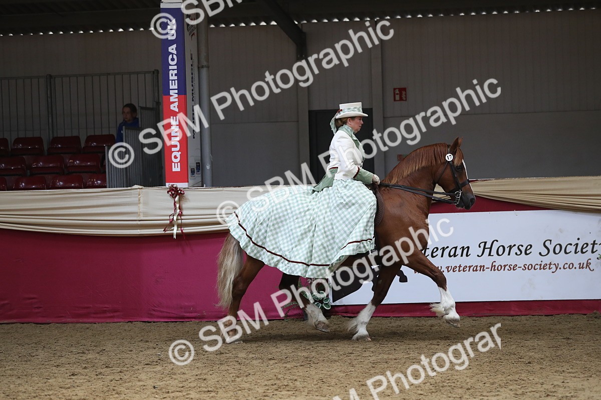 SBM_12078 - Class 106 Ridden Costume- Astride Adult (15-19)