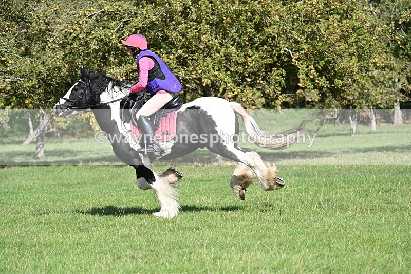 WJ7_0228 - Time 12:53 to 13:03