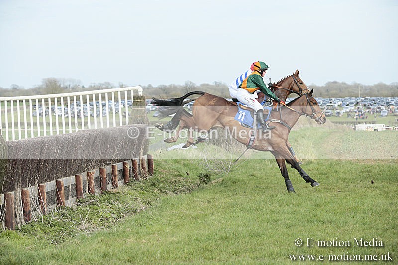 PtP 230319 341 - VWH Hunt Siddington Point-to-Point Racing 23/03/19