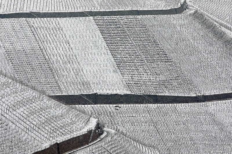  - Vineyards & Vines / Weinberge & Reben