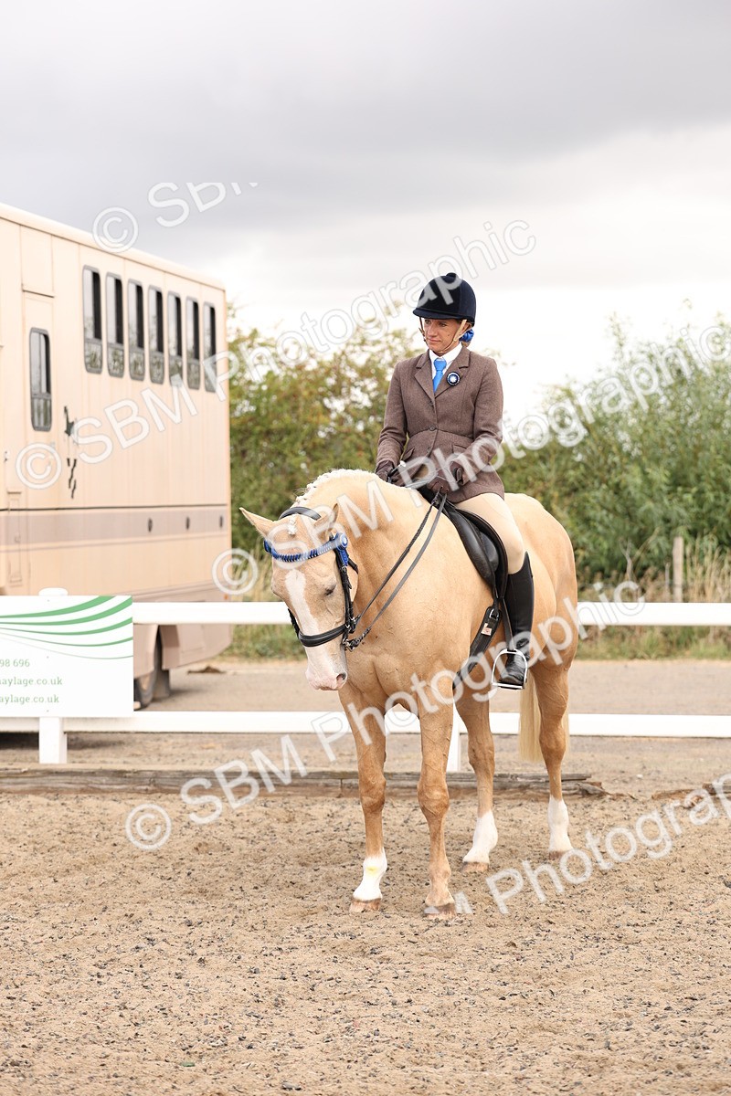 SBM_04244 - Class 54 - Riding Club Horse/Pony