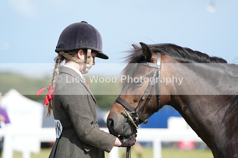 DSC07643 - Class 62: Child Handler