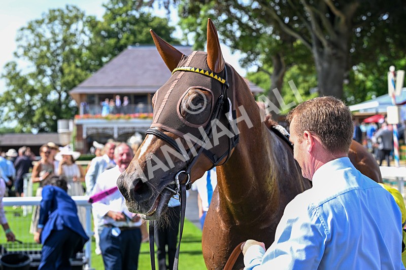 110726-Race 4-Raammee-7896 - Race 4 15.45pm John Smith's Cup