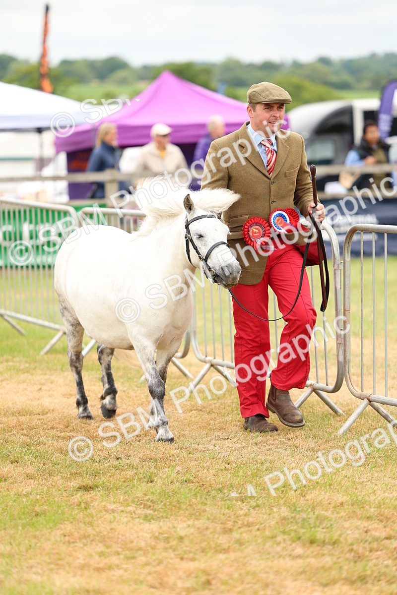 SBM_03559 - Class 58-67 - M&M Non Welsh Pony In hand