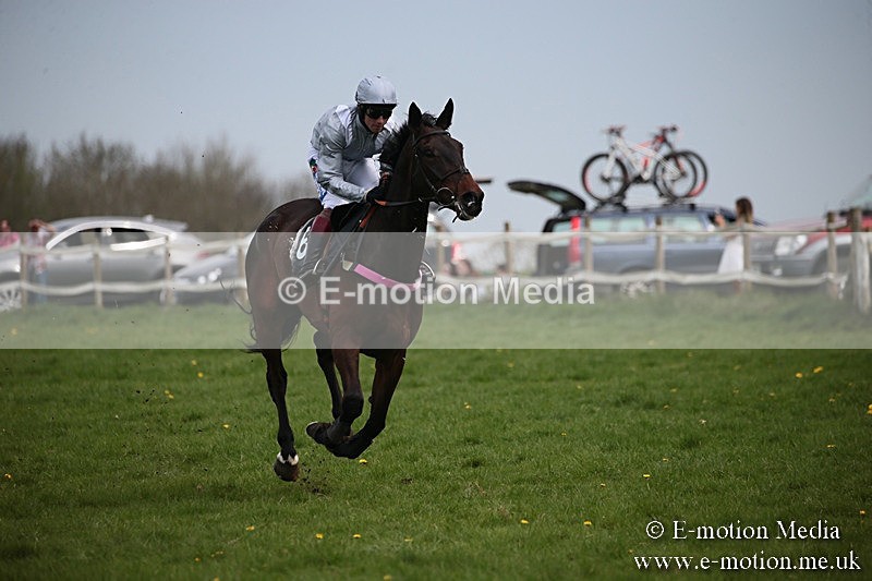 PtP 210418 213 - South & West Wilts Point-to-Point Larkhill 21/04/18