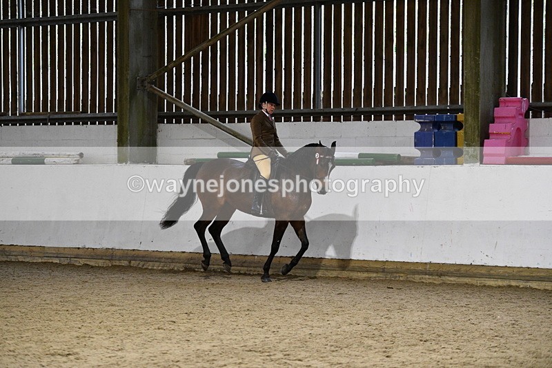 WJ5_8847 - Class 15 Ridden Show Horse