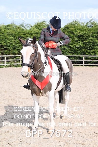 BPP_7672 - RING 1  (RIDDEN HORSES / IN HAND / VETERAN ETC)