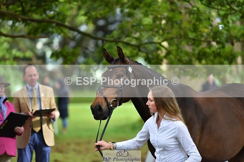 240522-171702-01503 - 259-METROPOLITAN_CLOVER-Megan_Brown