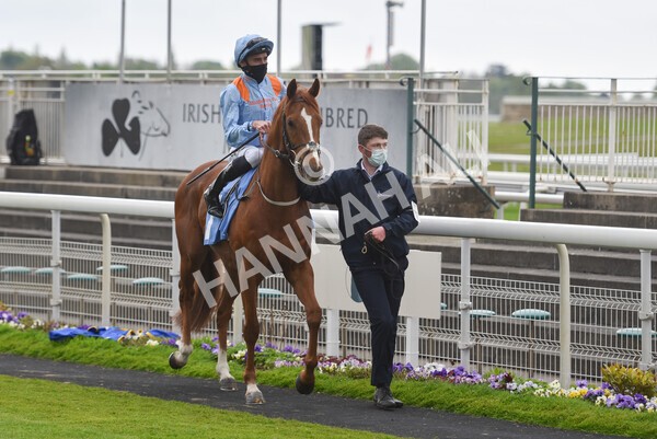 yr14052021r5-18 - Race 5 3.40pm The Jigsaw Sports Branding Handicap