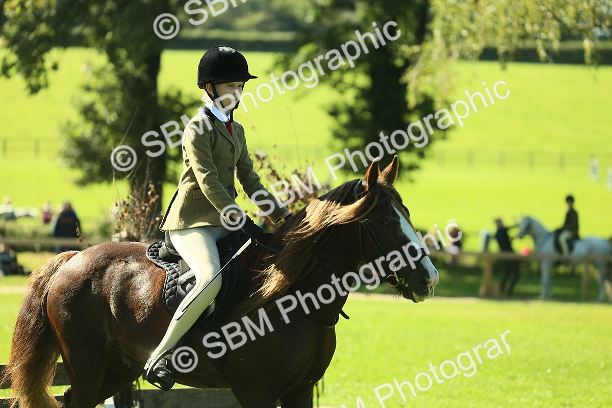SBM_37547 - S29 - Novice & Newcomers Working Hunter Pony