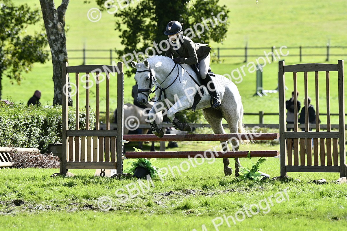 SBM_45743 - S33 - Working Hunter Pony