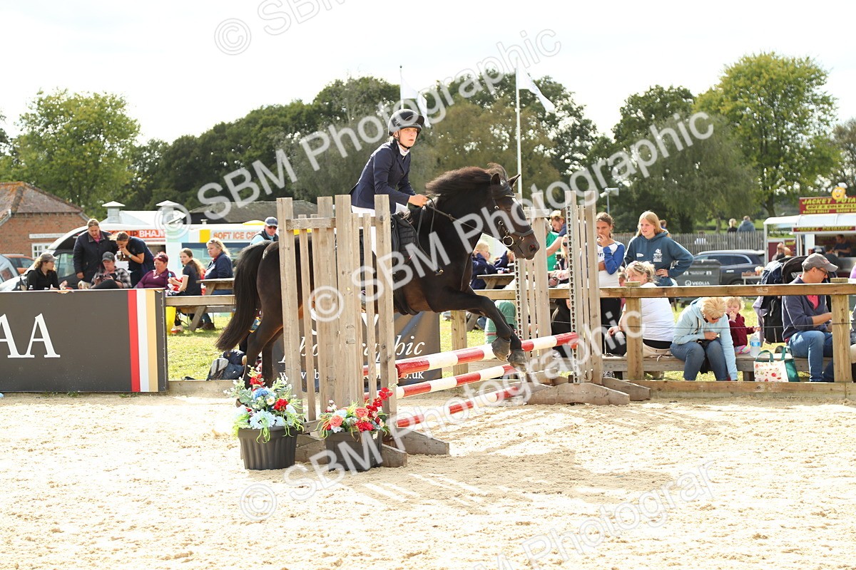 SBM_49408 - J7 - Junior Pony 60cm Championship