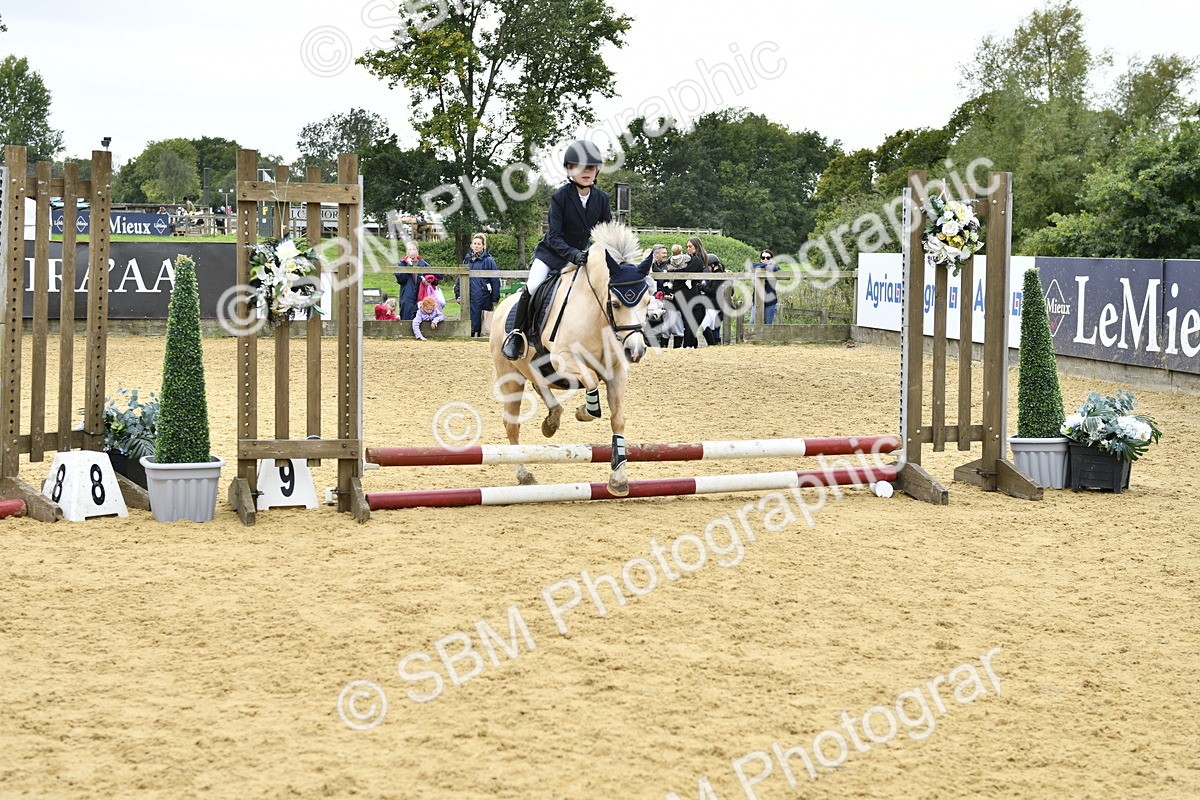 SBM_65511 - J2a mini Tour Junior Pony 30cm Championship