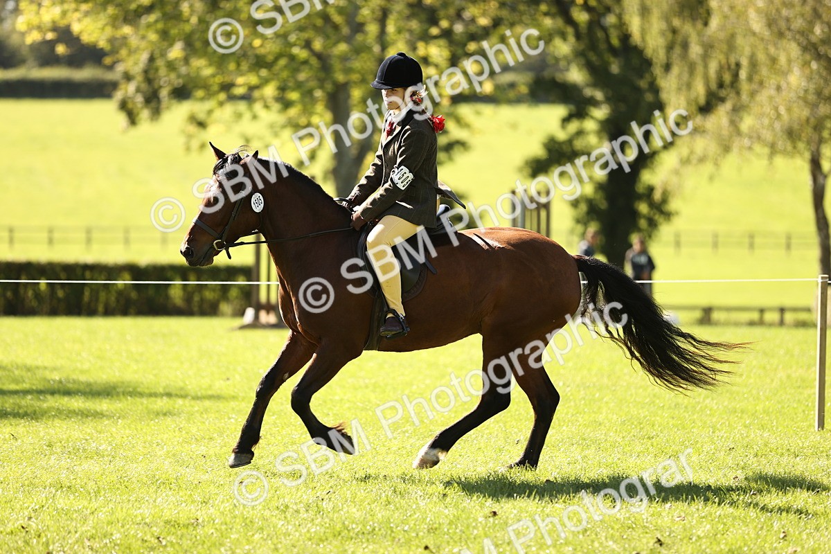 SBM_19168 - S3 - TSR Ridden Pony Showing