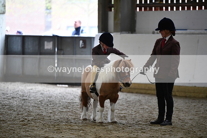 WJ5_6789 - Class 10 Childs Pony